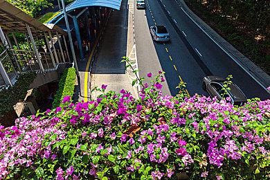 国行《舞力全开》一周年 育碧开启特惠活动